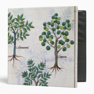 Classeur Illustration du 'livre des médecines simples
