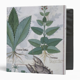 Classeur Illustration du 'livre des médecines simples