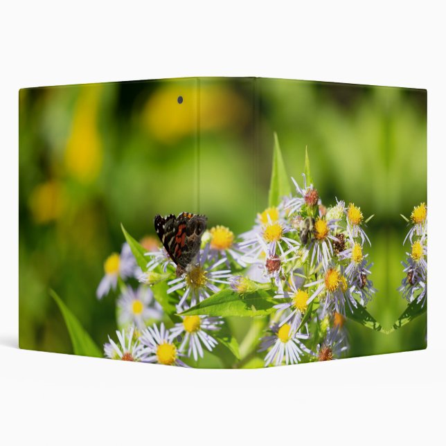 Classeur insecte papillon (Arrière-plan)