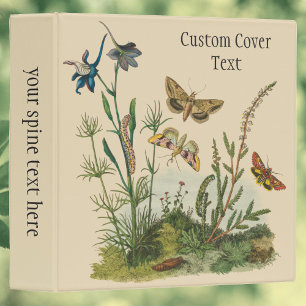 Classeur Insectes vintages, Papillons, Caterpillar