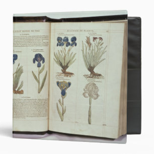 Classeur Iris