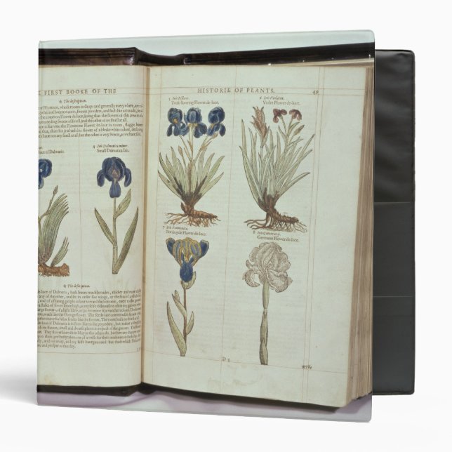 Classeur Iris (Devant/Intérieur)