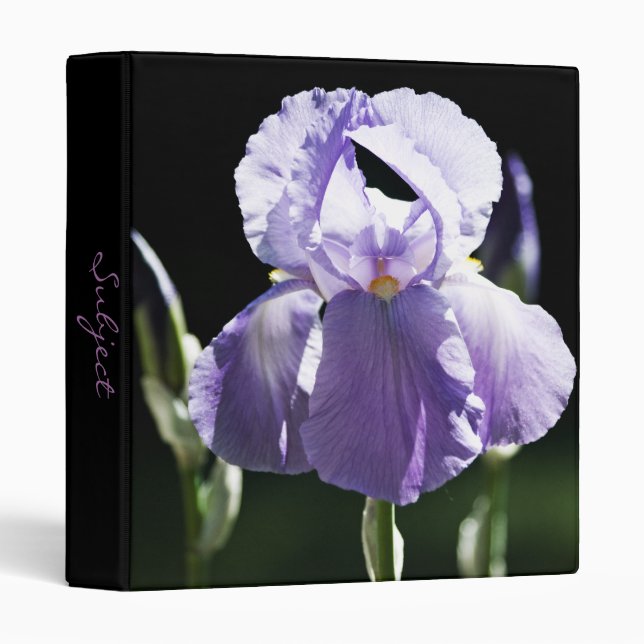 Classeur Iris 8393 violet (Devant/Côté)