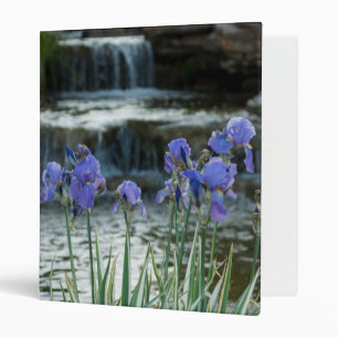 Classeur Irises Au Château