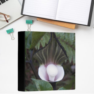 Classeur Jack-in-the-Pulpit Plante Floral