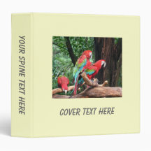J'aime les oiseaux bêtes ! les perroquets rouges e