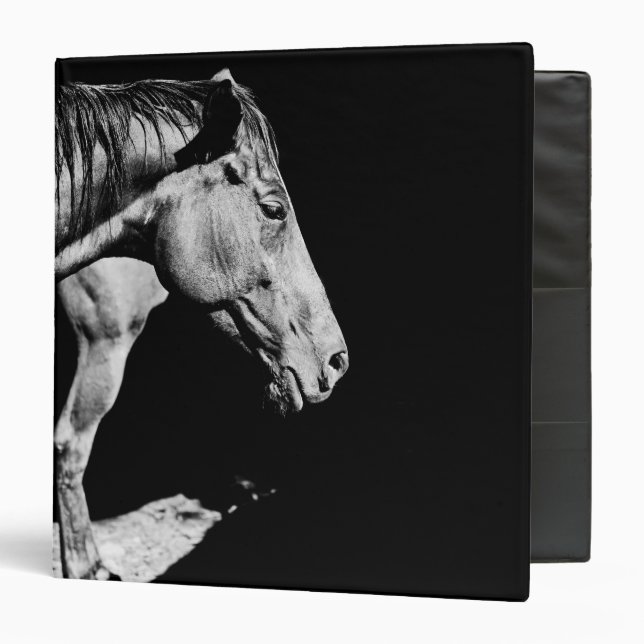 Classeur jambe de cheval (Devant/Intérieur)