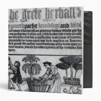 Jardin de herbes aromatiques médiéval