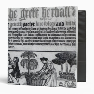 Classeur Jardin de herbes aromatiques médiéval