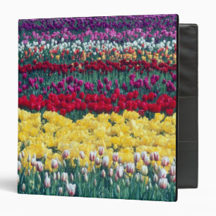 Classeur Jardin de tulipes dans le comté de Skagit,