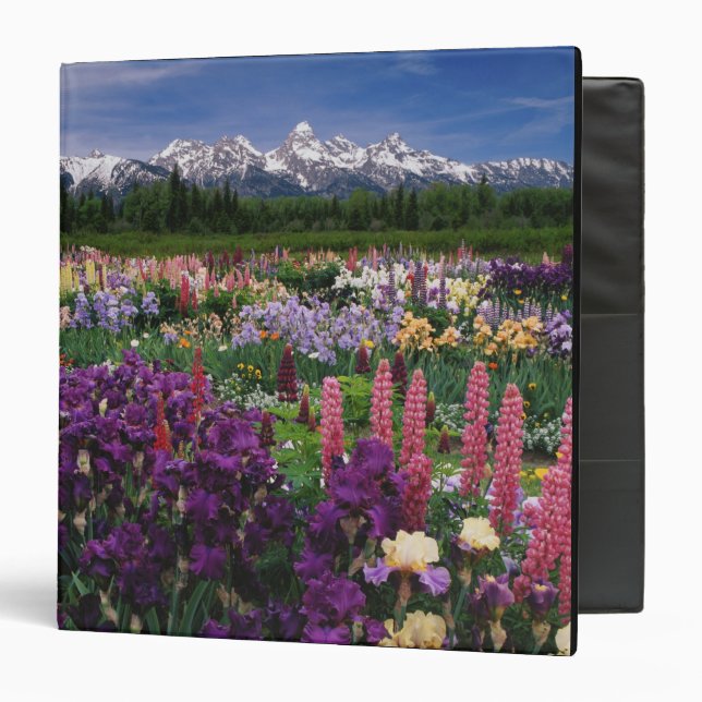 Classeur Jardin d'iris et de lupin et chaîne de Teton, (Devant/Intérieur)