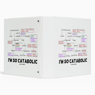 Classeur Je suis si Catabolisant Protéinogénique Acide Diag