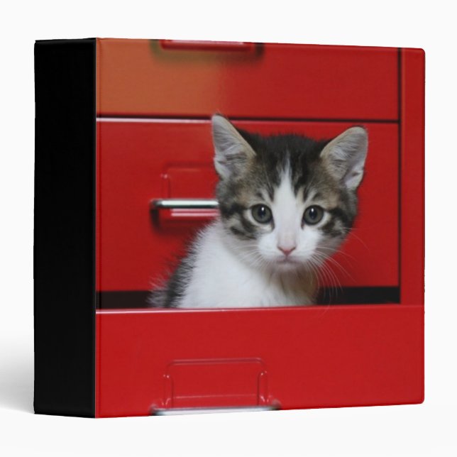 Classeur Jeter un coup d'oeil de chaton (Devant/Côté)