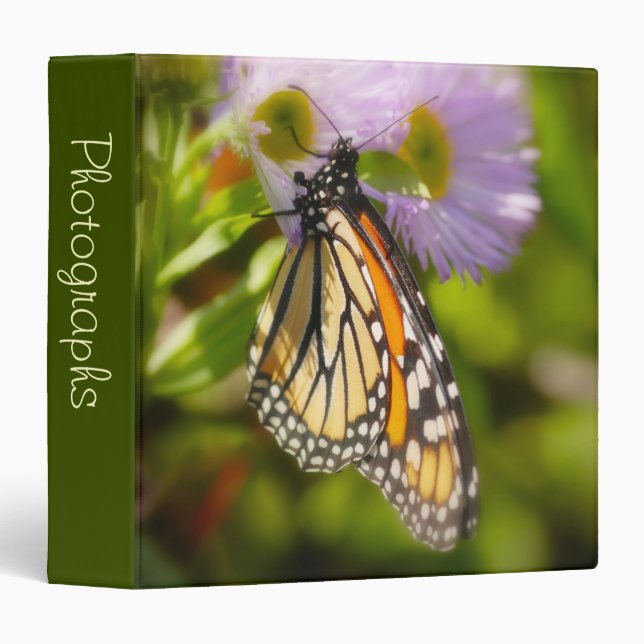 Classeur Joli album photo Papillon 1,5" (Devant/Côté)