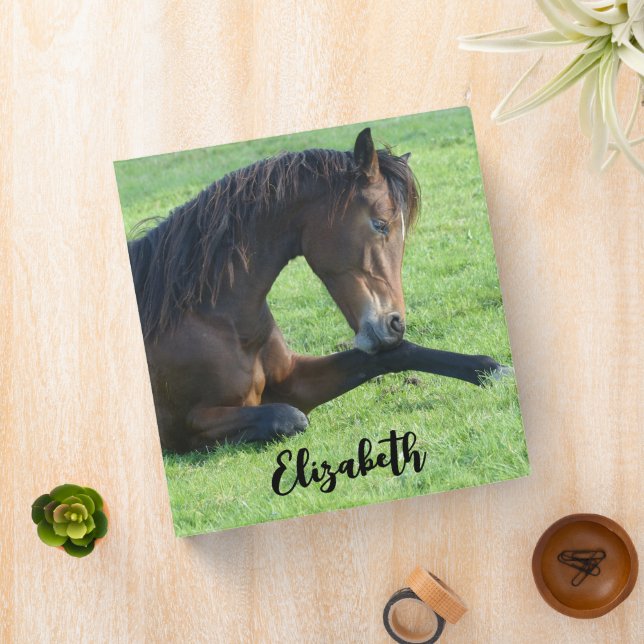 Classeur Joli Cheval Brown allongé dans l'herbe (In Situ)