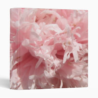 Joli Pale Rose Pavot Photographie Album