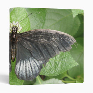 Classeur Joli Papillon Tropical et Fleurs Album photo