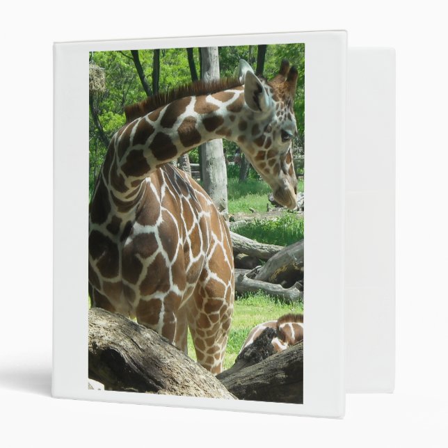 Classeur Jolie Giraffe gracieuse (Devant/intérieur)