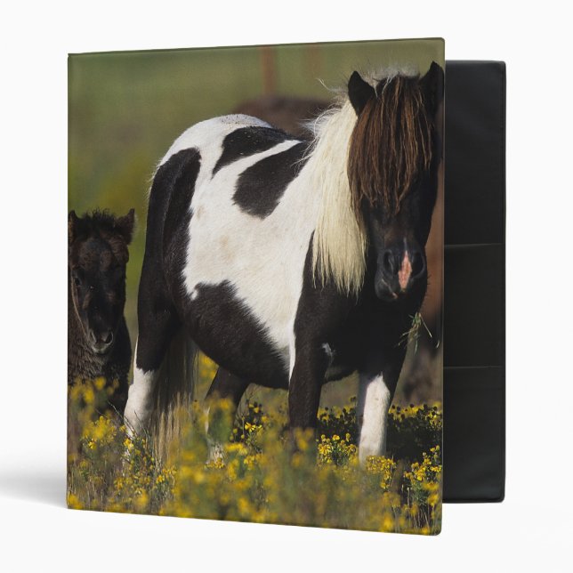 Classeur Jument et poulain miniatures en fleurs (Devant/intérieur)