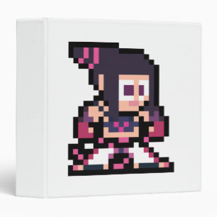 Classeur Juri à 8 bits