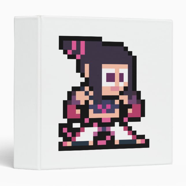 Classeur Juri à 8 bits (Devant/Côté)
