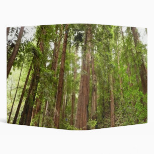 Classeur Jusqu'aux séquoias I à Muir Woods National Monumen