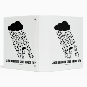 Classeur Juste Une Pluie Chats Et Chiens Jour Météorologie