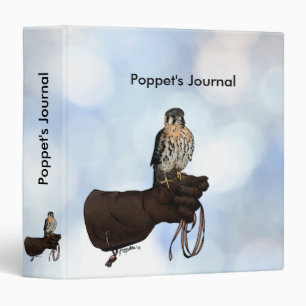 Classeur Kestrel on Glove Illustration