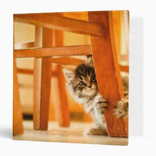 Classeur Kitty sous la chaise