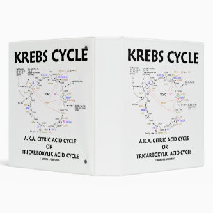 Classeur Krebs Cycle A.K.A. Cycle Citrique Acide Tricarboxy