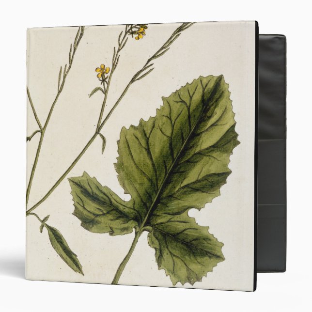 Classeur La moutarde, plaquent 446 "d'un de fines herbes (Devant/Intérieur)