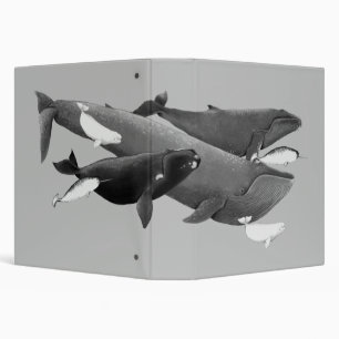 Classeur La Nage Des Baleines Illustration Art Whale Grey