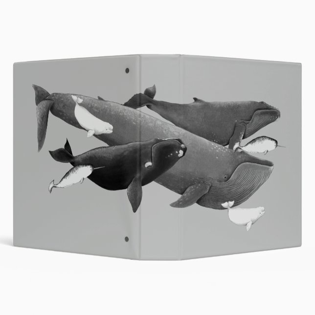 Classeur La Nage Des Baleines Illustration Art Whale Grey (Arrière-plan)