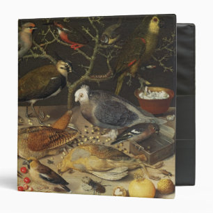 Classeur La vie toujours des oiseaux et des insectes, 1637