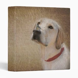 Classeur Labrador Retriever avec papillon