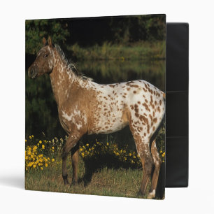Classeur Lac se tenant prêt horse d'Appaloosa