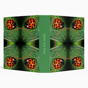 Classeur Ladybug On Leaf Frame Créez Votre Propre Photo