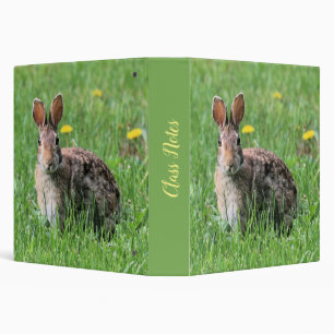 Classeur Lapin