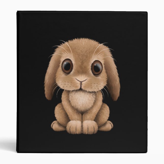 Classeur Lapin Brown mignon de bébé sur le noir (Devant)