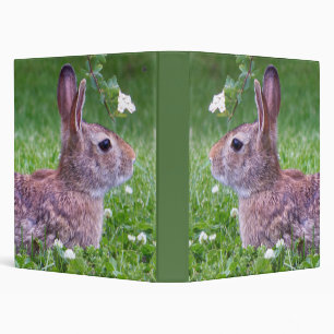 Classeur Lapin lapin en Grass Printemps de la photographie