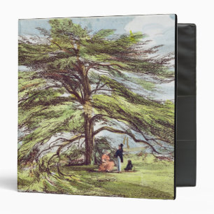Classeur L'arbre de cèdre du Liban dans l'arborétum, Kew