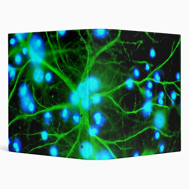 Classeur L'astrocyte sont les cellules de Glial en forme (Arrière-plan)