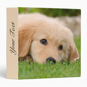 Classeur Le chiot mignon de golden retriever rêve la photo