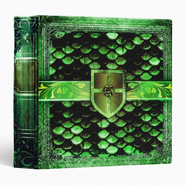 Classeur Le dragon assez vert mesure le livre antique de (Devant/Côté)