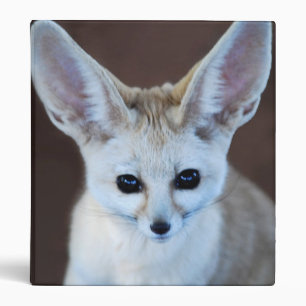 Classeur Le Fox de Fennec le plus mignon des mondes