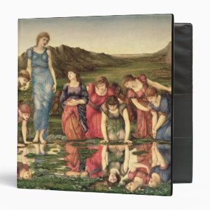 Classeur Le miroir de Vénus, 1870-76 (huile sur la toile)