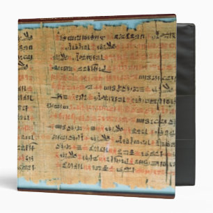 Classeur Le papyrus Médicale de Chester Beatty