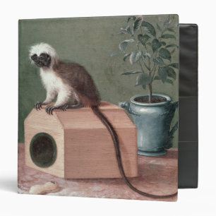 Classeur Le singe préféré de Karl Linnaeus