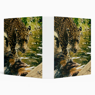 Classeur Leopard Crossing a Stream Photographie