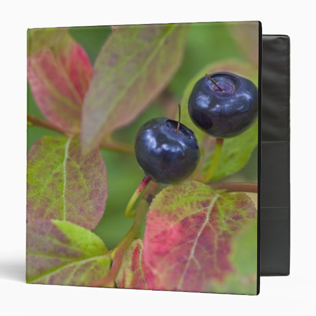 Classeur Les canneberges mûres du Flathead National (Devant/Intérieur)